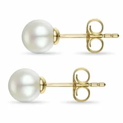 6,5 mm elfenbeinweiß Perleohrringe in 9 Karat Gold