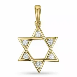 Davidstern Anhänger in 9 karat Gold- und Weißgold 0,19 ct