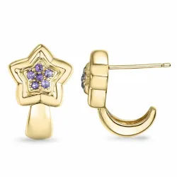 Stern Amethyst Ohrringe in 9 Karat Gold mit Amethyst 