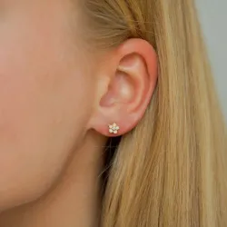 5,5-6 mm Marguerite Zirkon Ohrstecker in vergoldetem Sterlingsilber - Majse