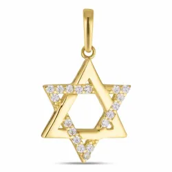 Davidstern Zirkon Anhänger aus 8 Karat Gold - Gold Collection