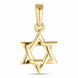 Davidstern Anhänger aus 8 Karat Gold - Gold Collection