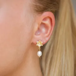 Ohrringe in vergoldetem Silber