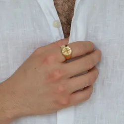 Wasserfest Stern Ring aus vergoldetem Edelstahl