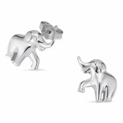 Elefant Ohrstecker in Silber