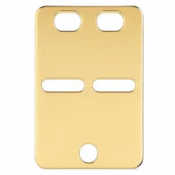 ID-Blech aus 14 Karat Gold