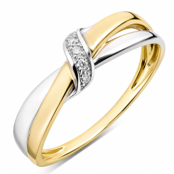 lab grown Diamant Ring in 9 Karat Gold- und Weißgold 0,03 ct