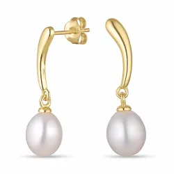 7,5-8 mm Perle Ohrringe in vergoldetem Silber