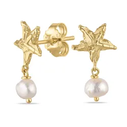 Seestern Perle Ohrringe in vergoldetes Messing - Eliné