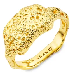 Ring aus vergoldetes Messing - Eliné