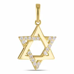 Kollektionsmuster Davidstern Zirkon Anhänger aus 8 Karat Gold - Gold Collection